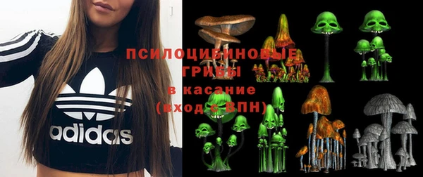 MESCALINE Вяземский